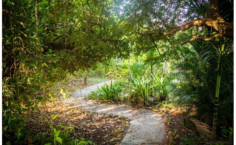 The gentle winding walking garden