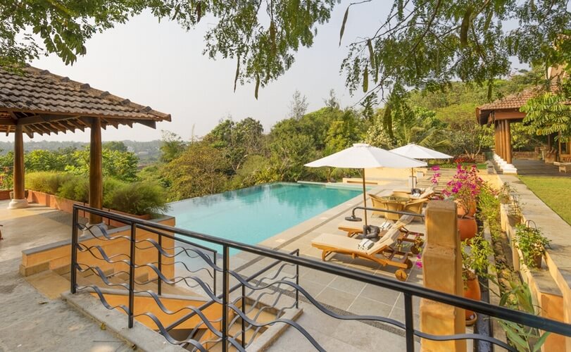 Summertime pool surrounded by greenery