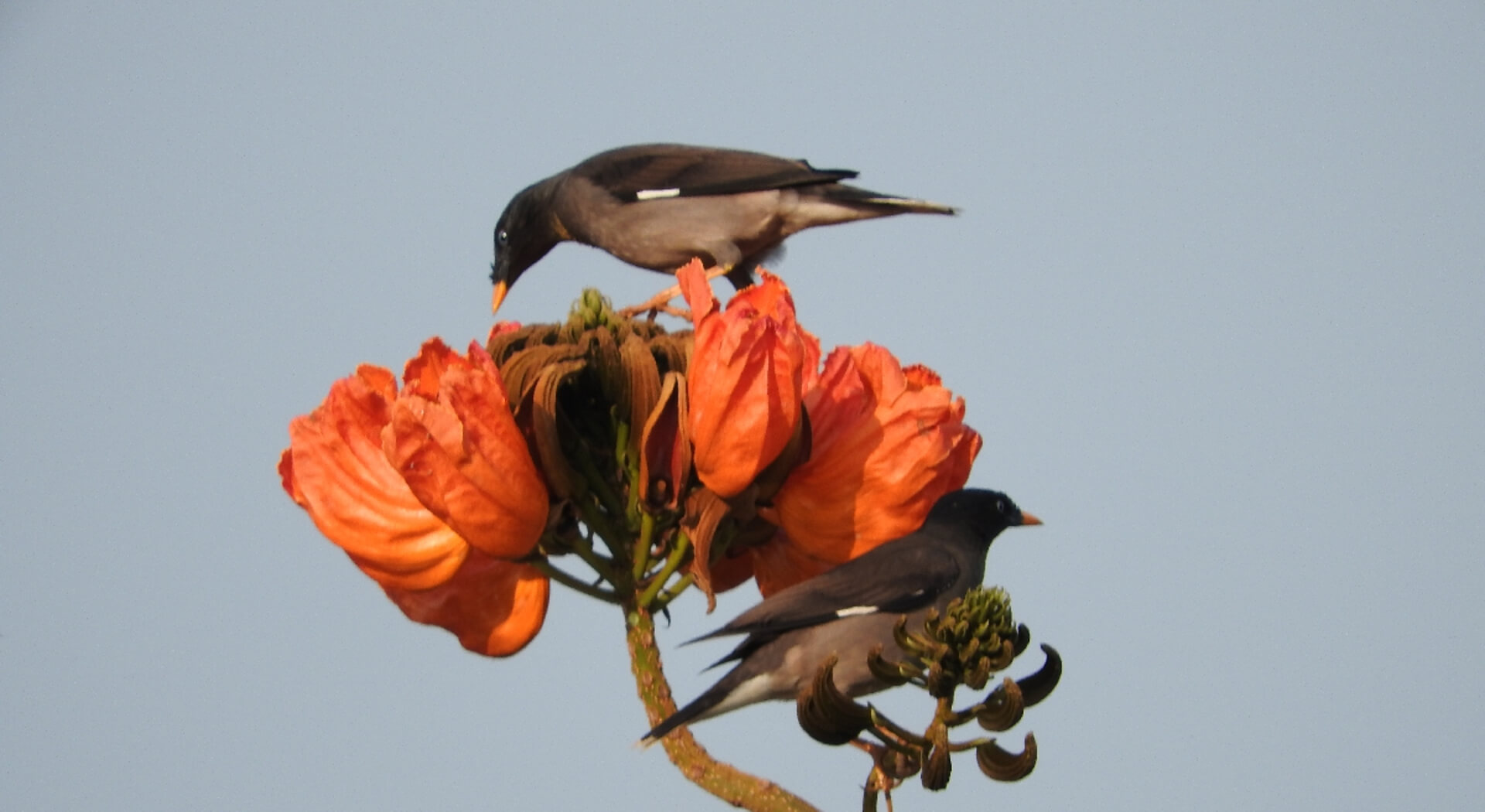 A birder's heaven